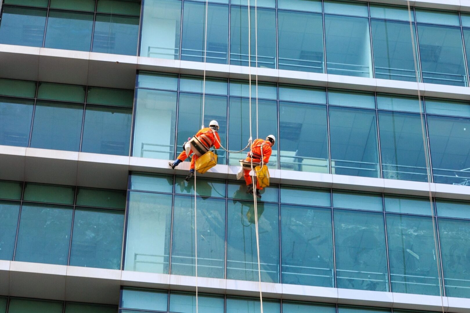 Collier Window Cleaning